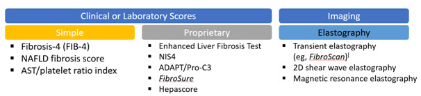 Liver Diagnosis