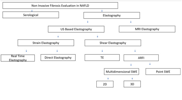 NAFLD