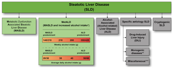 steatotic Liver Disease - (SLD)